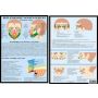 Poster reflexologie van het gezicht A4